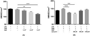 Red blood cell (RBC) microparticles (MPs) induced lipopolysaccharide (LPS)-activated human pulmonary microvascular endothelial cell (HMVEC) damage. The cells were treated with 200 ng/mL LPS for six hours. Polymorphonuclear neutrophils (PMNs) were added to endothelial cells at an effector cell:target cell ratio of 10:1. After settling, the PMNs were exposed to MPs or buffer for 30 min. The numbers of viable cells were counted over a 1-mm2 surface area by fluorescence microscopy after staining with a LIVE/DEAD Cell Imaging Kit. The PMN respiratory burst was inhibited by incubating PMNs with 300–1200 μM apocynin for 15 min at 37 °C before adding them to HMVECs. (A) Effect of serially diluted RBC MPs on HMVEC damage (n = 5). (B) Effect of treating PMNs with apocynin on RBC MP-induced HMVEC (3 × 104/μL) damage (n = 5). * p-value <0.05,**p-value<0.01,***p-value<0.001,****p-value<0.0001.