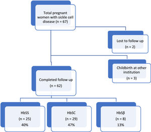 Flowchart of the cases.