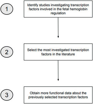 Flowchart demonstrating the search processes applied to identify potentially eligible studies.