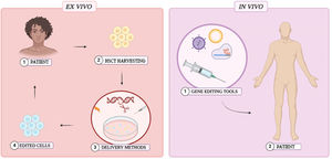 Ex vivo and In vivo interventions employed for gene editing Created with Biorender.com.