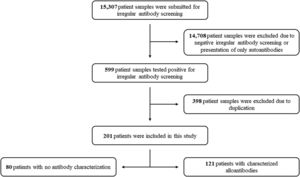 Flow diagram of the patients analyzed in the study.