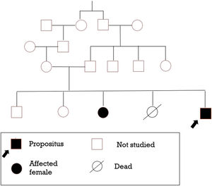 Graphical representation of family studies.