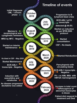 Timeline of events.