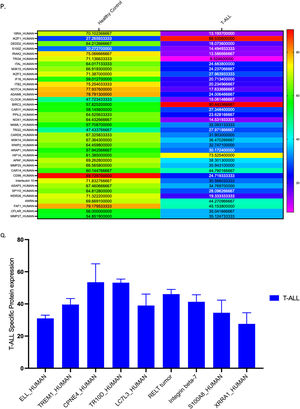 Label-free screening of differential proteins in T-ALL by using liquid chromatography-tandem mass spectrometry (LC-MS/MS). (A) shows the integrity of proteins isolated from healthy controls and T-ALL patients (Lanes 1–4 show healthy controls, and Lanes 5–9 show T-ALL patients), whereas (B-I) shows protein estimation, which was analyzed by the bicinchoninic acid kit. (J-M) shows the LC-MS/MS spectra of healthy controls and T-ALL patients. (N-P) shows 35 differentially expressed proteins in healthy controls and T-ALL patients, whereas the heatmap also shows the overall cumulative differential expression of proteins expressed in both groups. (Q) Nine signature proteins were found only in T-ALL patients and not in healthy controls.