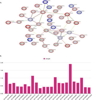 Protein-protein interactions (PPIs) were analyzed based on molecular function, cellular function, and tissue specification. Significantly differentially expressed proteins from the liquid chromatography-tandem mass spectrometry were analyzed by STRING tools with humans as the background library, followed by gene ontology annotations, including biological process (BP), reactome pathway, and tissue enrichment. (A, B) shows the PPI in all the proteins that were included in this study and their ontology; their functions are shown in supplementary Table S4 a-n. (C) Significant changes in T-ALL patients, including the immune system, innate immune system, cell surface interactions at the vascular wall, cytokine signaling in the immune system, signaling by NOTCH, and NOD1/2 signaling pathway. (D) In the tissue enrichment analysis, changes in chronic lymphocytic leukemia cells, lymphoid tissue, the hematopoietic system, and leukocytes were observed. (E) shows that these factors are associated with biological processes involved in apoptosis and the Nuclear factor kappa-B signaling pathway.