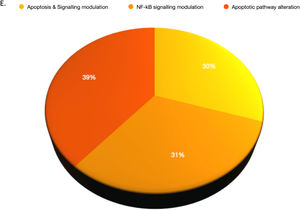 Protein-protein interactions (PPIs) were analyzed based on molecular function, cellular function, and tissue specification. Significantly differentially expressed proteins from the liquid chromatography-tandem mass spectrometry were analyzed by STRING tools with humans as the background library, followed by gene ontology annotations, including biological process (BP), reactome pathway, and tissue enrichment. (A, B) shows the PPI in all the proteins that were included in this study and their ontology; their functions are shown in supplementary Table S4 a-n. (C) Significant changes in T-ALL patients, including the immune system, innate immune system, cell surface interactions at the vascular wall, cytokine signaling in the immune system, signaling by NOTCH, and NOD1/2 signaling pathway. (D) In the tissue enrichment analysis, changes in chronic lymphocytic leukemia cells, lymphoid tissue, the hematopoietic system, and leukocytes were observed. (E) shows that these factors are associated with biological processes involved in apoptosis and the Nuclear factor kappa-B signaling pathway.