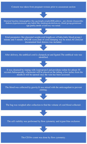 Study procedure.
