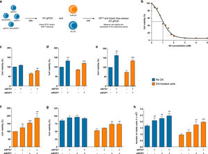Cell viability of B-ALL cell line after isolated or combined silencing of BTG1 and IKZF1 in response to dexamethasone treatment. (a) Experimental design of this study, as detailed in the methodology. (b) The viability of 207 cells was assessed after 24 h of dexamethasone treatment at different concentrations. Subsequently, the proportions of viable cells silenced were measured using the MTT assay for (c) BTG1, (d) IKZF1 and (e) both BTG1 and IKZF1 before and after treatment with dexamethasone. Also, the percentage of viable cells was measured using the MTT assay after 24 h of dexamethasone treatment and 36 hours of gene silencing (f). The results are compared between control cells (siScramble) and BTG1/IKZF1 silenced cells. The cell viability was also measured as a percentage (g) and absolute count (h) of the cell number using the trypan blue exclusion assay. The results were obtained from three independent experiments, and statistical analyses were performed using the Student
