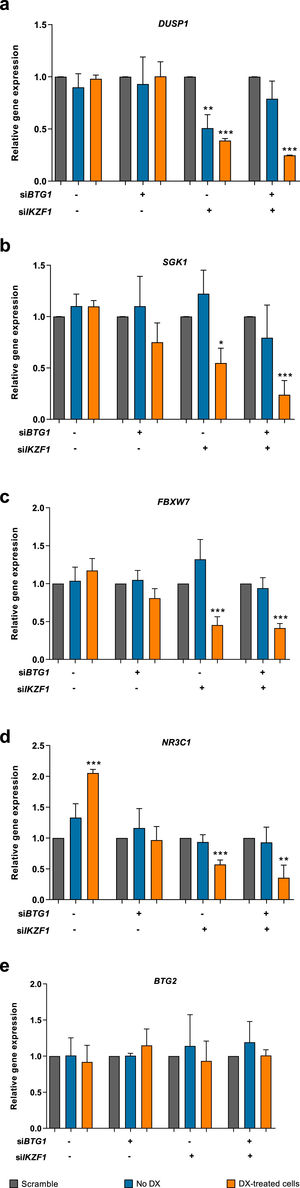 Transcript expression of glucocorticoid response genes following BTG1 and/or IKZF1 silencing and dexamethasone treatment. The 207 B-ALL cell line was treated with 100 nM of small interfering RNA (siRNA) for 36 h followed by treatment with 1 mM dexamethasone for 24 h. The expressions of (a) DUSP1, (b) SGK1, (c) FBXW7, (d) NR3C1, and (e) BTG2 genes were evaluated for all silencing conditions. The relative gene expressions were calculated based on the ΔΔCT quantification method using the values obtained from three independent experiments. Statistical analyses were performed using the Student