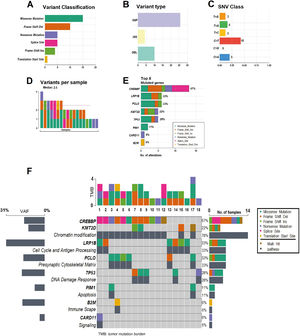 Summary of the mutations found in the 18 patients. (A) Variant classification, (B) Variant Type (single-nucleotide polymorphism [SNP] and indels), (C) Single nucleotide variant (SNV) class, (D) Variants per sample, (E) Top eight mutated genes. (F) Oncoplot showing the heatmap of the classification of variants for the eight main genes in 18 samples of the patients with DLBCL. The genes are ordered by frequency, (highest to lowest) mutated gene and identified according to variant classification (missense, frame shift ins/del, nonsense, splice site and translation start site). The mutated genes are grouped into the following functional categories: CREBBP and KMT2D (chromatin modification: 78 %), LRP1B (cell cycle and antigen processing: 33 %), PCLO (presynaptic cytoskeleton matrix: 33 %), TP53 (DNA damage response: 28 %), PIM1, B2M and CARD11 in functional pathways of apoptosis, immune escape and signaling: 6 % each). The average allele frequencies for each gene are displayed on the left. Variants noted as multi-hit are those identified in genes that undergo mutation more than once in the same sample from a patient.