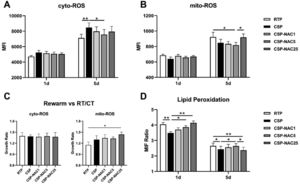 Antioxidant N-acetylcysteine (NAC) prevents increases in the production of cytoplasmic (cyto)-reactive oxygen species (ROS) and mitochondrial (mito)-ROS and inhibits lipid peroxidation in cold-stored platelets (A) Cyto-ROS production of room-temperature-stored platelets (RTP), cold-stored platelets (CSP) and CSP with the addition of NAC (CSP-NAC) was measured using fluorescent activated cell sorting (FACS) with CellROX™ Deep Red and reported as mean fluorescence intensity (MFI). (B) Mito-ROS of the three aforementioned groups was measured by FACS with CellROX® Green Reagent, and reported as MFI. (C) After rewarming platelets of 5-day-stored RTP, CSP and CSP-NAC to 37 °C for 30 min, the MFI of cyto-ROS and mito-ROS were measured by FACS. The effect of rewarming on ROS production is expressed by the rate of increase in ROS levels, which is the ratio of ROS-MFI after platelet rewarming versus those without rewarming. (D) Lipid peroxidation was measured using the Image-iT® Lipid Peroxidation Kit. MFIs at 590 nm (red) and 510 nm (green) for each group of platelets were measured by fluorescent activated cell sorting (FACS) and the ratios of the MFIs at 590 nm to 510 nm were used to quantify lipid peroxidation in platelets, inversely proportional to the level of lipid peroxidation. The results are shown as means ± standard error of the mean (n = 6). *p-value <0.05, **p-value <0.01, ***p-value <0.001, compared between the groups.