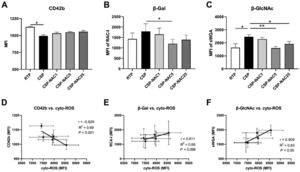 N-acetylcysteine (NAC) protects glycoprotein GPIb/α and deceases exposure of β-Gal and β-GlcNAc due to cold-storage lesions (A) The GPIb/&#¿; level of room-temperature-stored platelets (RTP), cold-stored platelets (CSP) and CSP with the addition of NAC (CSP-NAC) stored for five days is indicated as the mean fluorescence intensity (MFI) of binding to CD42b antibodies. (B) The exposure of β-Gal and (C) β-GlcNAc on 5-day-stored RTP, CSP and CSP-NAC are indicated as MFIs of RAC I and sWGA binding probes assessed by fluorescent activated cell sorting (FACS), respectively. The results are shown as means ± standard error of the mean (n = 6). *p-value <0.05, **p-value <0.01, ***p-value <0.001, compared between the groups. (D) Correlation and linear regression between CD42b expression and the levels of cyto-ROS production after five days of storage. (E) Correlation and linear regression between β-Gal expression and the levels of cyto-ROS production after five days of storage. (F) Correlation and linear regression between β-GlcNAc expression and the levels of cyto-ROS after five days of storage.