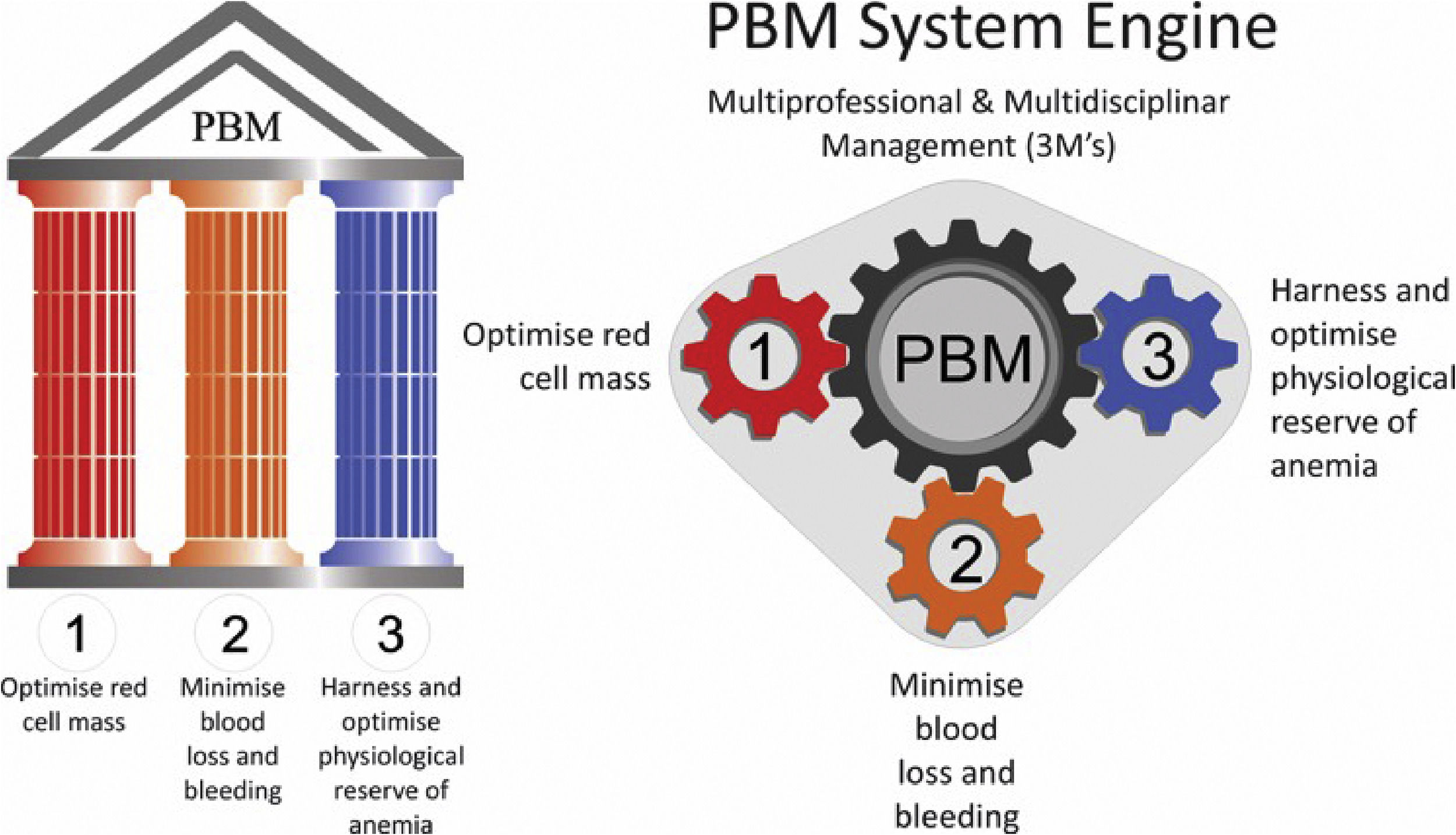 Pbm Operators When innovation meets patient blood management – a new way to see ...
