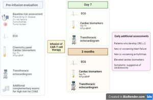 Pre-therapy evaluation and post infusion monitoring for cardiovascular adverse effects. CV: cardiovascular; ECG: electrocardiogram; hsc-Tn: high-sensitivity troponin; NT-proBNP: N-terminal pro-brain natriuretic peptide; CVAE: cardiovascular adverse effects; CRS: cytokine release syndrome.