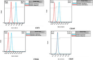 Immunophenotypes of unrestricted somatic stem cells (USSCs). USSCs were positive for CD73, CD105, and CD166 but negative for CD45.