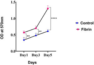Effect of fibrin on unrestricted somatic stem cell (USSC) viability. The MTT assay result showed that fibrin has a positive effect on the proliferation of USSCs cultured on fibrin scaffolds at Day 1, 3, and 5 of continuous culture compared to those cultured on plastic tissue culture plates (Control Group). ⁎⁎p-value = 0.0051, ⁎⁎p-value = 0.0068 and ⁎⁎⁎⁎p-value < 0.0001 compared to control group.