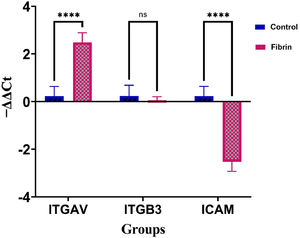 Effect of fibrin on expression levels of ICAM, ITGAV, and ITGB3 in unrestricted somatic stem cells (USSCs). Quantitative polymerase chain reaction analysis revealed a significant increase in the mRNA expression levels of ITGAV in the fibrin group. Notably, fibrin did not exert an effect on the mRNA expression of ITGB3 in USSCs. The expression level of ICAM was significantly decreased compared to those cultured on plastic tissue culture plate. Data are presented as means ± standard deviation (SD). NS, not significant; ⁎⁎⁎⁎p-value < 0.0001 compared to Control Group (n = 3).
