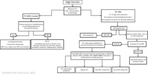 Algorithm proposed for the diagnosis of haemochromatosis in Brazilian patients. TS, transferrin saturation; CBC, complete blood count; IO, iron overload; HC, hemochromatosis; LIC, liver iron concentration; MRI, magnetic resonance imaging; CNS, central nervous system Genes, HFE, homeostatic iron regulator; TfR2, transferrin receptor 2; SLC11A1, solute carrier family 11 member 1; HJV, hemojuvelin BMP, co-receptor; HAMP, hepcidin antimicrobial peptide; TFRC, transferrin receptor; BMP6, bone morphogenetic protein 6; BMP2, bone morphogenetic protein 2; SLC40A1, solute carrier family 40 member.