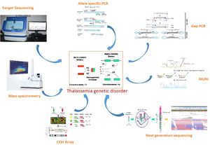 Illustration of the different molecular tools for diagnosis of thalassemia.