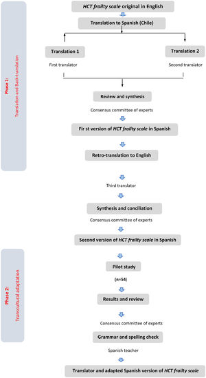 Flowchart of the translation and cross-cultural adaptation phases.