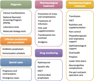 Overview of major topics for recommendations in the updated national guidelines.