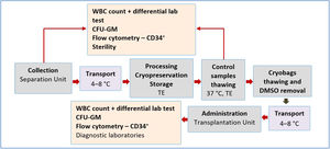 Diagram of hematopoietic progenitor cell collection, processing, and application.