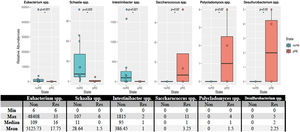 Distribution of bacteria in patients who developed relapse and those who did not. The relative abundances of the species that showed statistically significant differences are provided above. Statistically significant differences were observed for Eubacterium spp. (p-value = 0.031), Schaalia spp. (p-value = 0.025), Intestinibacter spp. (p-value = 0.021), Saccharococcus spp. (p-value = 0.02), Polycladomyces spp. (p-value = 0.02), and Desulfurobacterium spp. (p-value = 0.02). The asterisk (*) in the figure indicates a statistical difference between the groups.