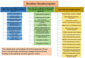 Classification of Hereditary Thrombocytopenias based on more recent perspectives and research.