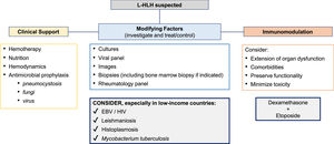 General Principles of Lymphoma-associated hemophagocytic lymphohistiocytosis (L-HLH) Treatment. The mainstay of L-HLH treatment is to control the overactive immune system, identify and treat modifying factors, optimize clinical support, and treat lymphoma. EBV: Epstein–Barr virus.