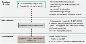 A suggested treatment approach for lymphoma-associated hemophagocytic lymphohistiocytosis. The two-stage approach aims to initially control hyperinflammation and T-cell proliferation based on weekly etoposide (Etoposide) and dexamethasone, followed by lymphoma treatment. CHOEP: Cyclophosphamide, Hydroxydaunorubicin, Oncovin, etoposide (Etoposide), Prednisone; EPOCH: etoposide (Etoposide), Prednisone, Oncovin (Vincristine), Cyclophosphamide, and Hydroxydaunorubicin (Doxorubicin); B-NHL: B-cell non-Hodgkin lymphoma; R-DA-EPOCH: Rituximab (Dose-Adjusted), etoposide (Etoposide), Prednisone, Oncovin (Vincristine), Cyclophosphamide, Hydroxydaunorubicin (Doxorubicin); ASCT: autologous stem-cell transplantation; PJP: Pneumocystis jirovecii pneumonia; Allo-SCT: allogenic stem-cell transplantation; NK: Natural killer cells.