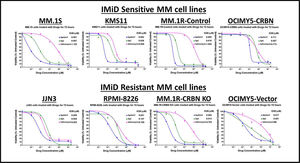 Iron chelators are potent killers of multiple myeloid cell lines. Multiple myeloid (MM) cell-lines (IMiD sensitive and IMiD resistant) were treated with Drugs (Dp44mT, DpC and Salinomycin) for 72 h. MTT assay was performed at the end of 72 h incubation and half maximal inhibitory concentration (IC50) values were determined using GraphPad Prism software.