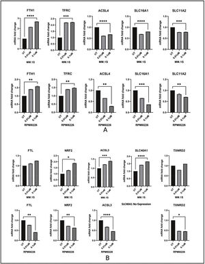 Global Phosphoproteomics changes after Dp44mT treatment: A & D: Kinase-substrate enrichment analysis (as described by Casado et al. and Wiredja et al.) the plot shows the Z-score for enrichment of different kinases in present data. Kinases with Z-scores greater than 0 are more active in the control group (Untreated group). B & E: Upstream motif analysis to identify kinases responsible for phosphorylation. C & F: Enriched pathways of most represented phosphorites. MM.1S (Top) and RPMI-8226 (Bottom).