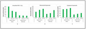 Dp44mT-induced imbalanced reactive oxygen species (ROS) homeostasis: A: Time- and dose-dependent decreases in intracellular ROS levels after Dp44mT treatment of the IMiD sensitive cell line (MM.1S). However, the IMiD resistant cell line (RPMI-8226) did not show any change in intracellular ROS levels after Dp44mT treatment. B & C: Time- and dose-dependent increases in mitochondrial and cytoplasmic superoxide in both cell lines.