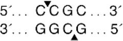 202603300648504654