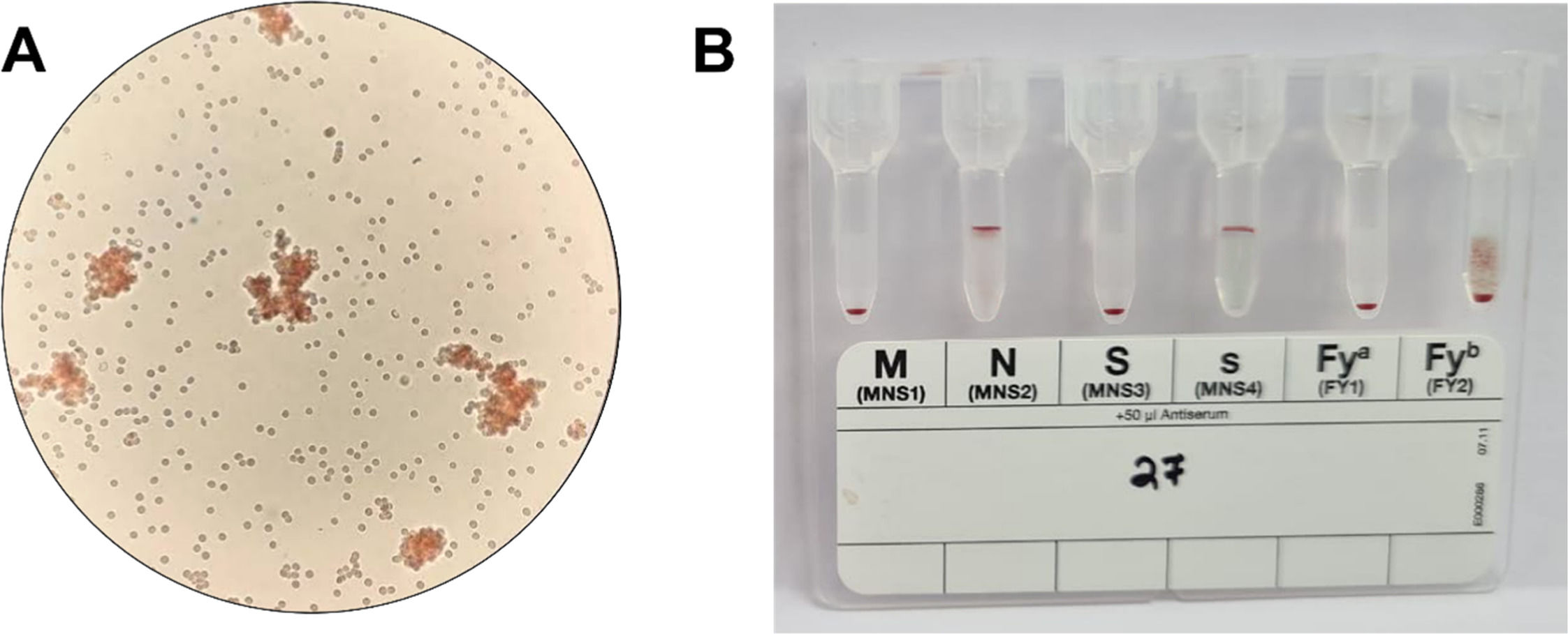 fig0001