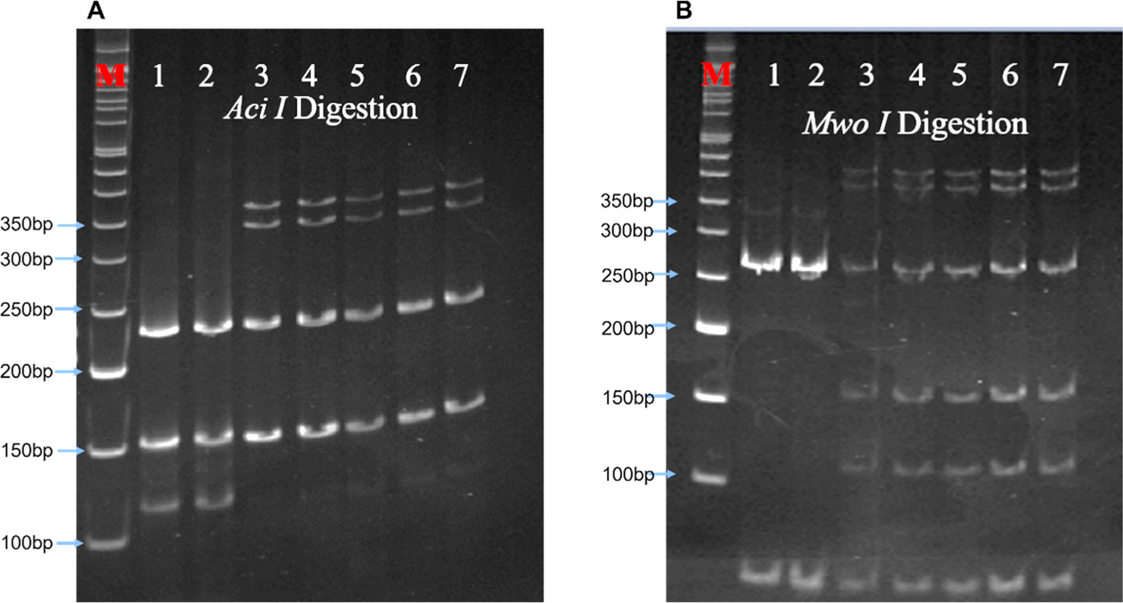 fig0002