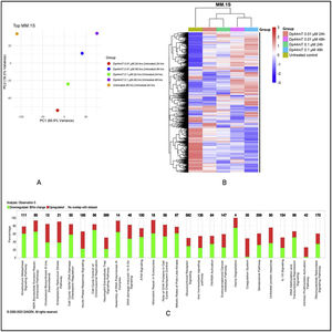Dp44mT-induced proteomic changes in multiple myeloid (MM) cell lines: A. Principal component analysis. Unit variance scaling was employed to rows and the principal components were calculated using the singular value decomposition imputation approach. The X and Y axes correspond to principal component (PC)-1 and PC-2, respectively thus explaining the total variance (n = 5) data points. B. Heatmap of differentially regulated proteins after Dp44mT treatment (Only those genes with absolute fold change |log2(FC)| >1.5 were included to reduce the size of the data). C. Canonical ingenuity pathway analysis showing differentially regulated pathways in MM cell lines. Green represents downregulation, red represents upregulation, and white represents no overlap with the ingenuity pathway knowledge-based database. MM.1S (top) and RPMI-8226 (bottom).