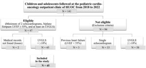 Flowchart of the recruitment of study participants. HUOC: Hospital Universitário Oswaldo Cruz; LVEF: left ventricular ejection fraction; LVGLS: left ventricular global longitudinal strain.