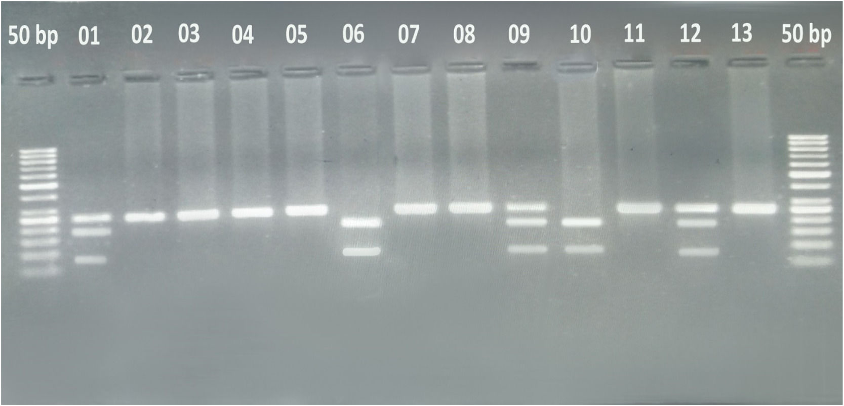fig0001