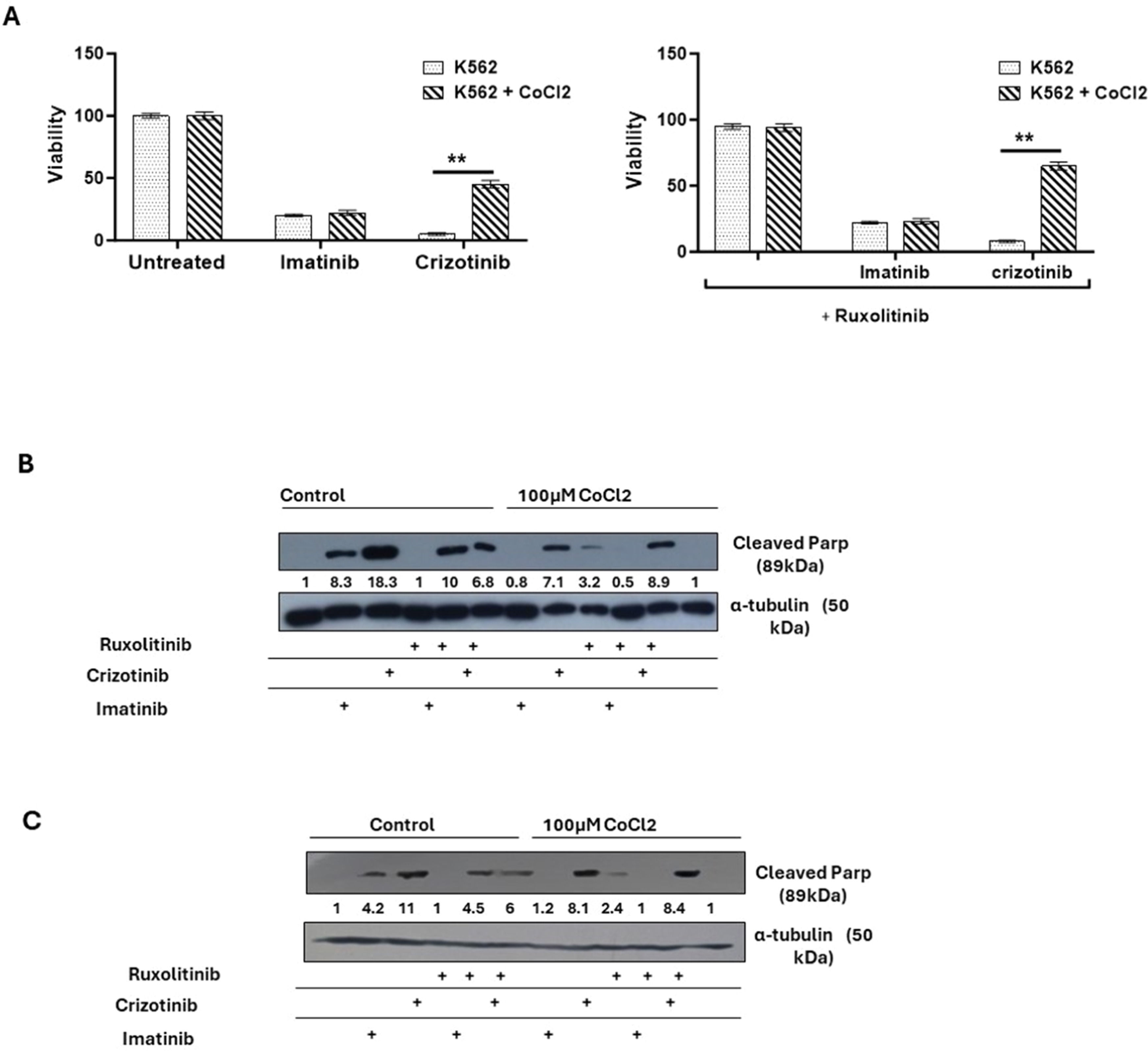 fig0002