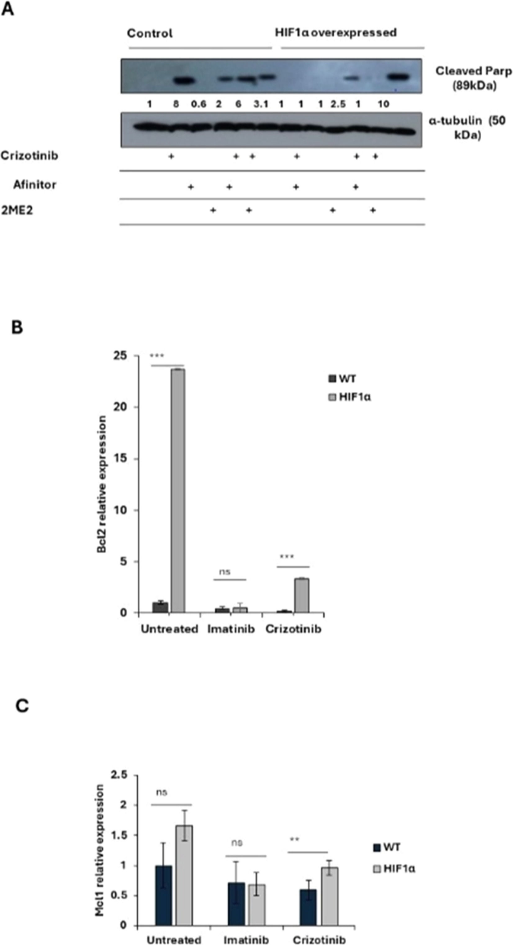 fig0005
