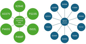 Resistance mutations for asciminib and nilotinib. Green circles denote mutations within the myristoyl pocket that confer resistance to asciminib. These are distinct from the blue circles on the right, which represent ATP-binding site mutations conferring resistance to nilotinib. Because these mutations occur in spatially separate domains of the BCR::ABL1 protein, they highlight the lack of cross-resistance between allosteric and ATP-competitive inhibitors, providing a mechanistic rationale for combination therapy.