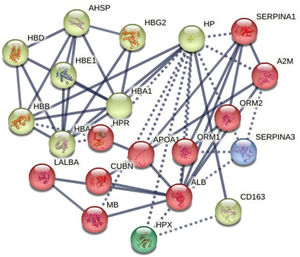Protein-protein interaction (PPI) network analysis. STRING database visualization of functional interactions among differentially expressed genes (DEGs) associated with sickle cell disease (SCD). Inclusion criteria for the network were defined as p-value ≤0.05 and fold change (FC) ≥1.5 or ≤0.67.