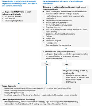 Diagnostic algorithm for AL amyloidosis Adapted from Palladini [4] AL: Immunoglobin light chain amyloid protein; BNP: B-type natriuretic peptide; ECG: electrocardiogram; EF: Ejection fraction; FLC: Free light chain; MGUS: Monoclonal gammopathy of undetermined significance; NT-proBNP: N-terminal pro-B-type natriuretic peptide.
