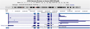UCSC Genome Browser representation of the HFE gene locus on chromosome 6 (GRCh38).