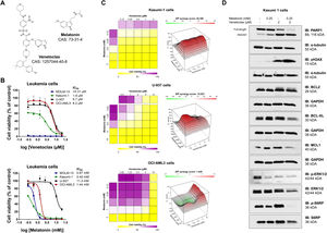 Melatonin enhances venetoclax-induced cytotoxicity in AML cell lines. (A) Chemical structures of venetoclax (CAS: 1257044-40-8) and melatonin (CAS: 73-31-4). (B) Concentration–response cytotoxicity was evaluated using an MTT (3-(4,5-dimethylthiazol-2-yl)-2,5-diphenyltetrazolium bromide) tetrazolium assay in a panel of acute myeloid leukemia cell lines treated with vehicle or increasing concentrations of venetoclax or melatonin for 72 h. Values are expressed as the percentage of viable cells relative to vehicle-treated controls. IC50 values and corresponding cell lines are indicated in the Figure. (C) Concentration-response cytotoxicity of combination treatments was assessed by MTT assay in Kasumi-1, U-937, and OCI-AML3 cells treated with increasing concentrations of venetoclax and melatonin, either alone or in combination, for 72 h. Cell viability is expressed as a percentage relative to vehicle-treated controls. Results represent the mean of at least three independent experiments. (D) Western blot analysis of total and cleaved PARP1, γH2AX, BCL2, BCL-XL, MCL1, phosphorylated ERK1/2 (p-ERK1/2), total ERK1/2, phosphorylated S6RP (p-S6RP), and total S6RP in whole-cell extracts from Kasumi-1 cells treated with vehicle, venetoclax, and/or melatonin at the indicated concentrations for 72 hours. Membranes were reprobed for α-tubulin or GAPDH as loading controls and developed using SuperSignal™ West Dura Extended Duration Substrate with a G:BOX Chemi XX6 imaging system.