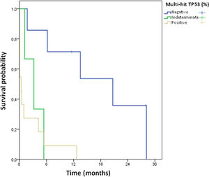 Survival probability of patients according to thier multi-hit TP53 alteration.