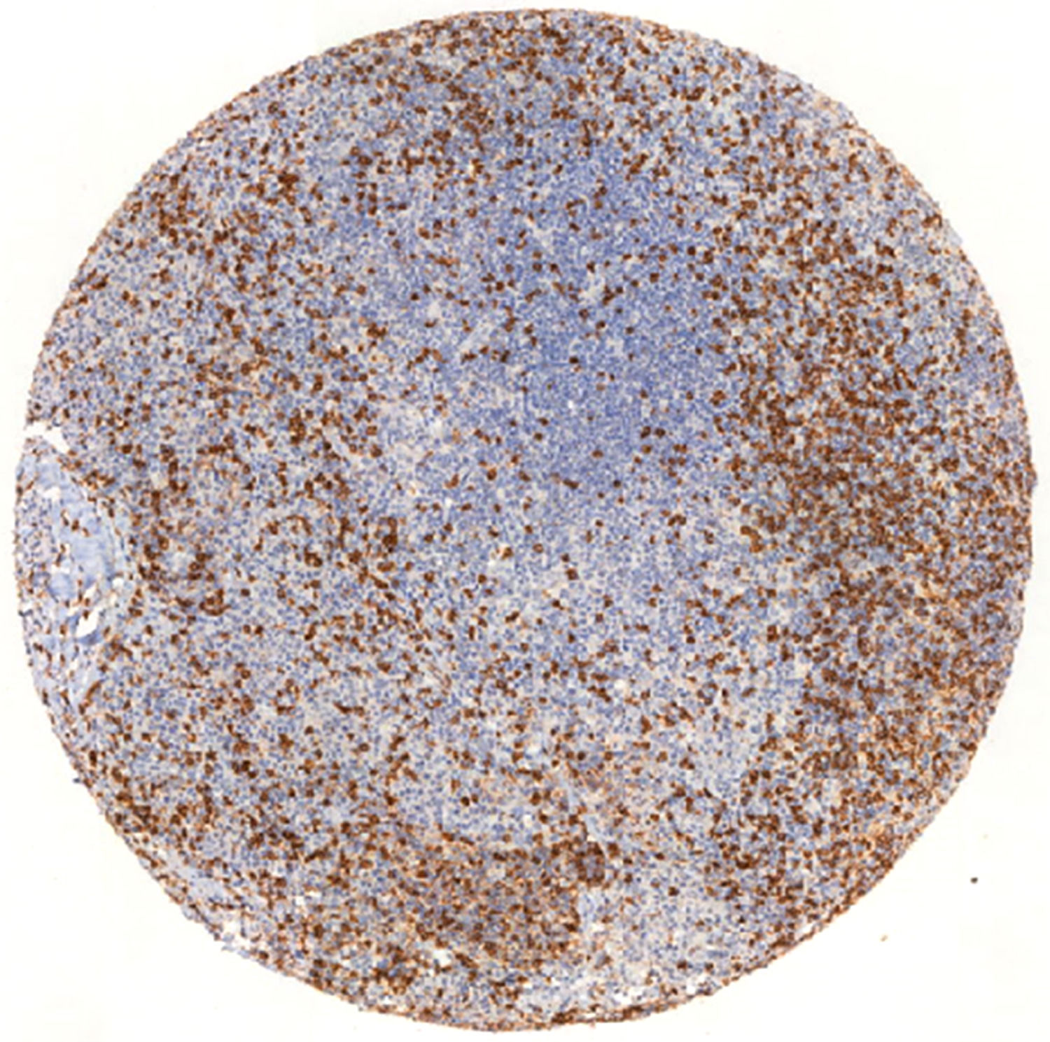 fig0001