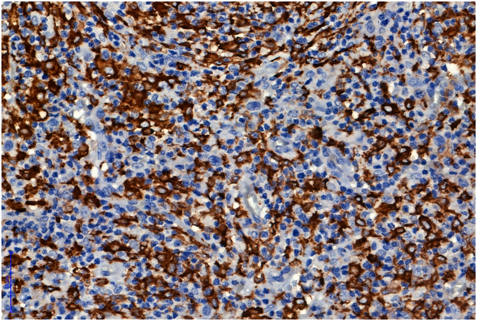 fig0002