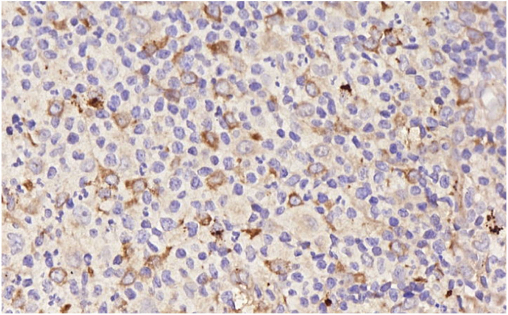fig0003